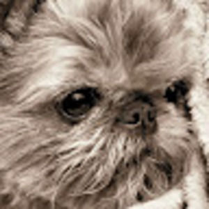 Meet your Posher, Cherie